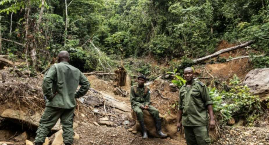 Sierra Leone has one of the highest deforestation rates in the world.  By JOHN WESSELS (AFP)