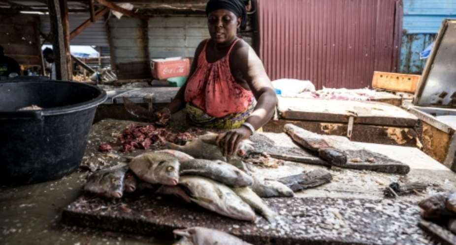 Sirah Darboe-Manneh, 31, a fishmonger and mother of six, cleans fish in Tanji, The Gambia.  By MUHAMADOU BITTAYE (AFP)