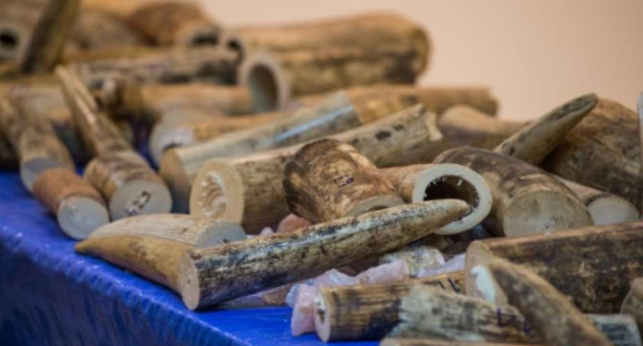 Smuggled ivory originating from Malawi was discovered in cargo boxes at the Bangkok airport in March 2017.  By Roberto SCHMIDT AFPFile