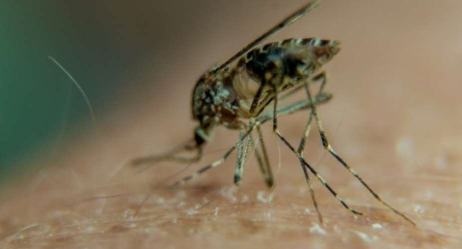 Some 214 million cases of malaria were reported worldwide last year, killing 438,000 people, mainly in Africa, according to the World Health Organization.  By Philippe Huguen AFPFile