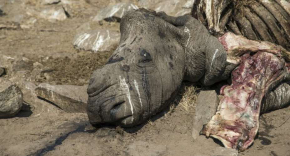 South Africa's iconic Kruger park has long borne the brunt of rhino poaching.  By WIKUS DE WET AFPFile