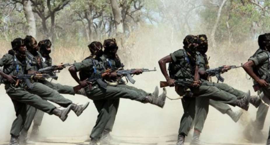 Chad guards parade in Zakouma National Park on April 5, 2013.  By Jean Liou (AFP/File)