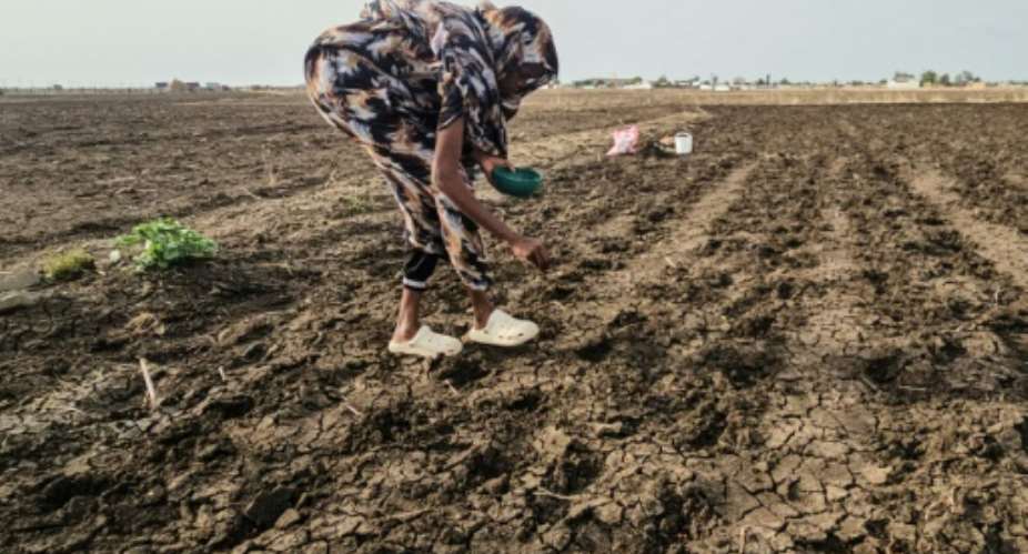 Sudanese farmers struggle with delayed rains and low Nile water levels as El Nino climate conditions impact the worlds largest hunger crisis.  By - (AFP)