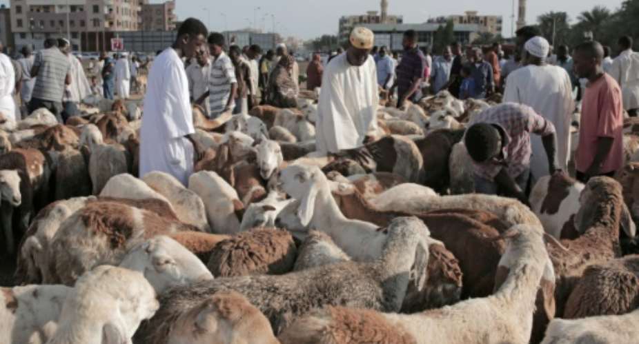 Sudanese Muslims buy livestock at a market in Sudan's capital Khartoum on August 11, 2019, as they mark their first Eid Al-Adha feast without Omar al-Bashir as a ruler.  By Jean Marc MOJON AFP