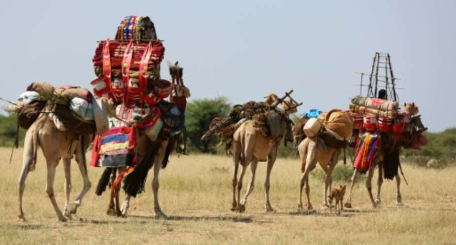 Sudanese villagers carry belongings on camels in the Darfur village of Shattaya following their return home last year after more than a decade of being displaced by war.  By ASHRAF SHAZLY AFP