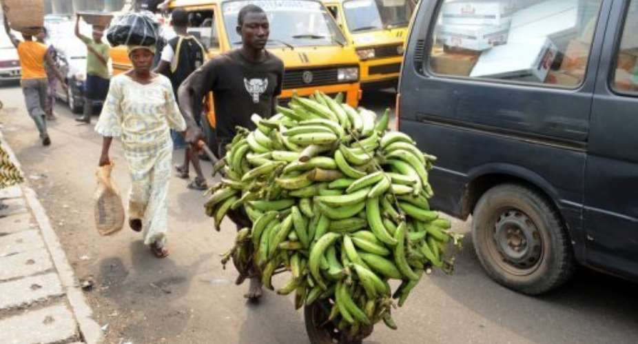 A man transports plantain bananas to a car park in Lagos today as workers suspended a five-day strike.  By Pius Utomi Ekpei AFP
