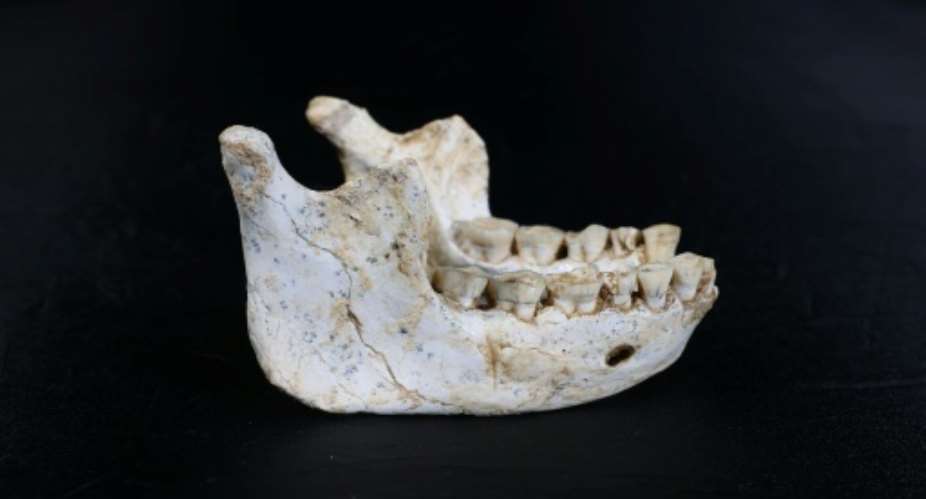 The 773,000-year-old lower jawbone found in Morocco. By Hamza Mehimdate (PROGRAMME PREHISTOIRE DE CASABLANCA/AFP)