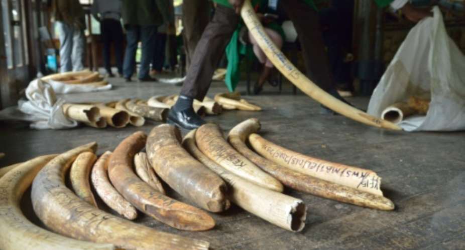The CITES conference aims to tighten rules on trade in elephant ivory and other endangered animal and plant species.  By Tony KARUMBA AFPFile