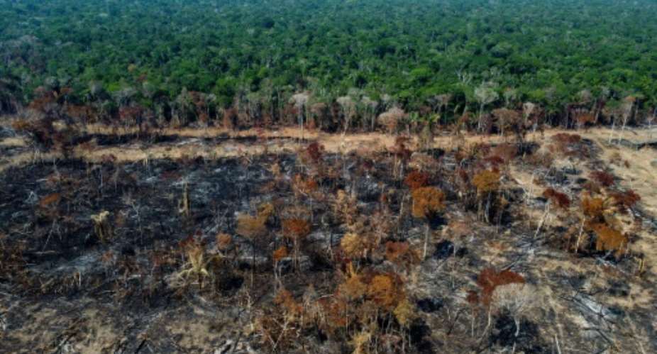 The Food and Agriculture Organization estimates that an aggregate area of land bigger than the European Union has been deforested around the world over the past three decades.  By MICHAEL DANTAS AFPFile