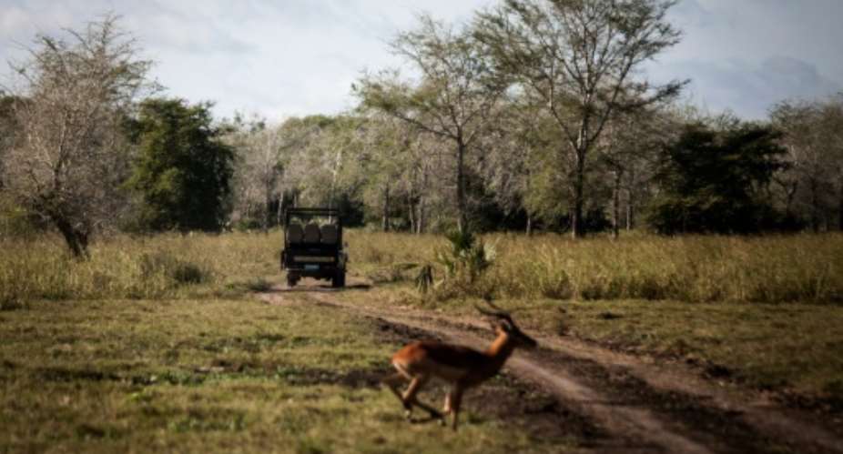The Gorongosa National Park has seen wildlife return after Mozambique's civil war.  By John WESSELS AFPFile