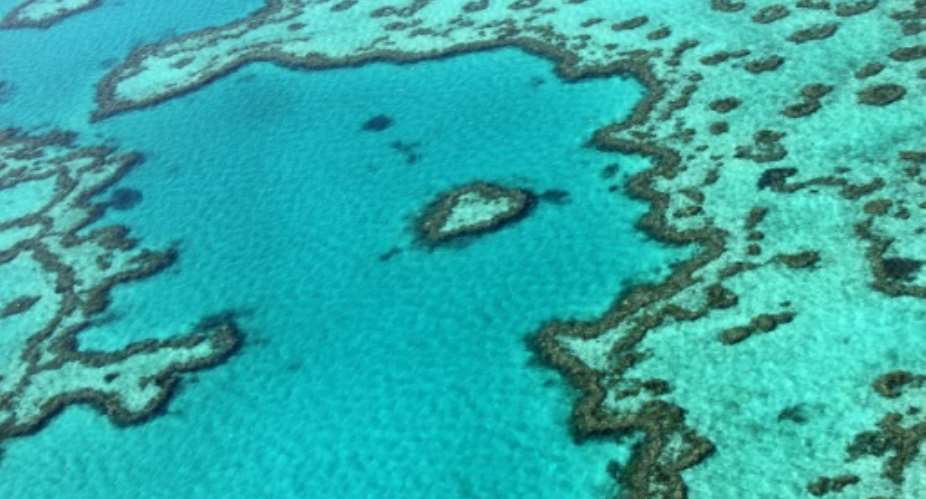 The Great Barrier Reef off the coast of the Australia has suffered coral bleaching.  By Sarah LAI AFPFile