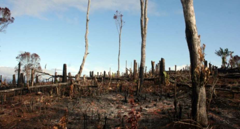 The impact of deforestation on south-eastern Madagascar has been devastating.  By Gregoire Pourtier AFPFile