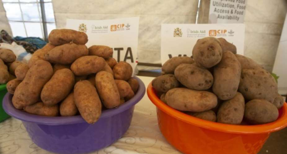 The Malawi government has banned the import of a range of goods, including Irish potatoes, to stimulate local production.  By AMOS GUMULIRA (AFP)