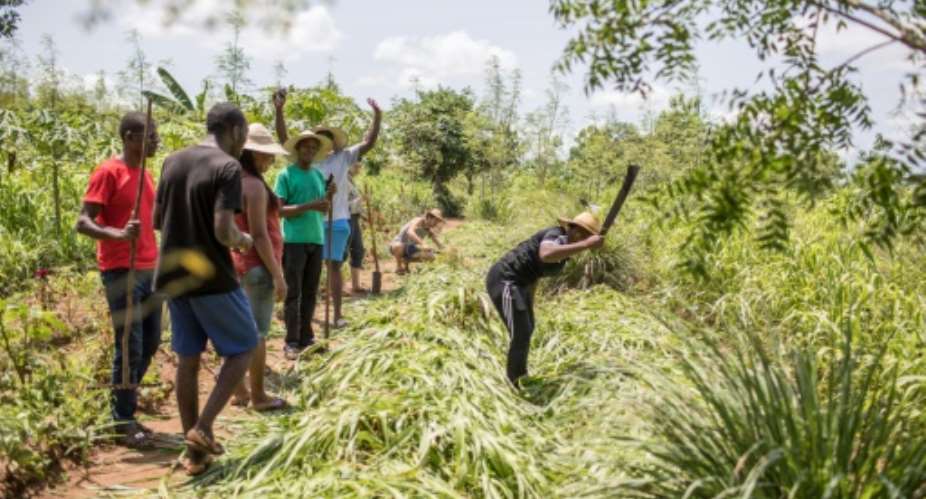 The programme aims to teach basic, traditional ways of agriculture to those who have forgotten or never known a life on the land.  By Yanick Folly AFP