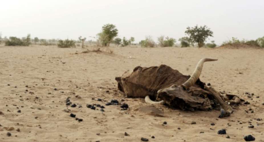 The region regularly suffers from devastating spell of drought.  By ISSOUF SANOGO AFPFile