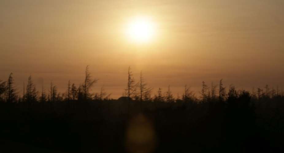The sun rises over a forest burned by a fire in southern France.  By Valentine CHAPUIS (AFP/File)