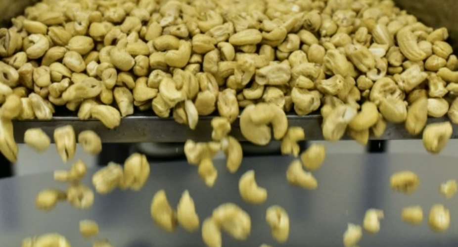 The Tanzanian government is hoping for a cashew nut crop of 220,000 tonnes this year.  By ISSOUF SANOGO AFPFile