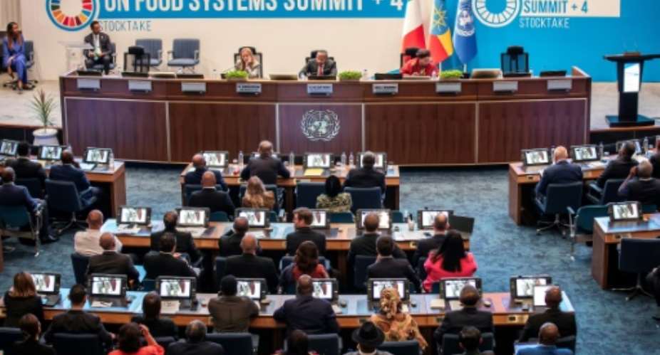The UN Food Systems Summit called for action on hunger in Africa, Gaza and beyond.  By Solan Kolli (AFP)