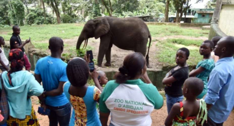 The zoo is struggling with rundown facilities and lack of funds.  By SIA KAMBOU AFPFile