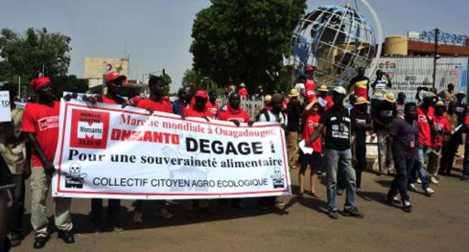 People protest biotechnology giant Monsanto and its genetically modified crops and pesticides on May 23, 2015 in Ouagadougou, Burkina Faso.  By Ouoba-Ahmed AFP