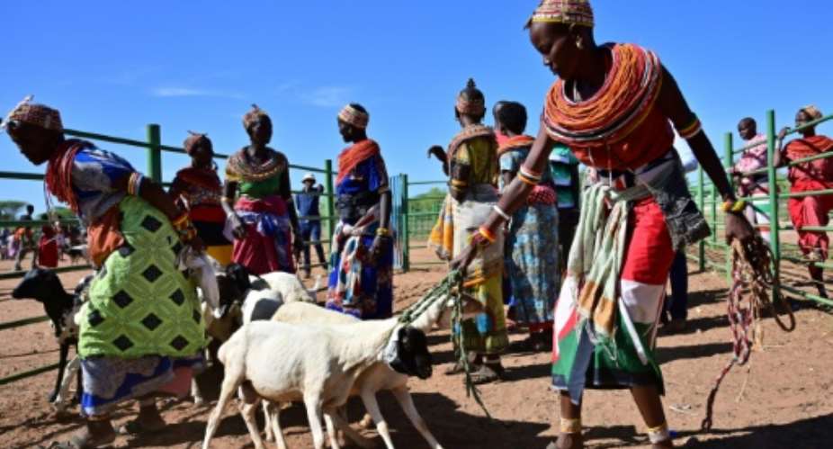 Traditional Samburu tribeswomen gather their goats to sell at Merille livestock market, some 411km north of Nairobi in Kenya's Marsabit county.  By TONY KARUMBA AFP