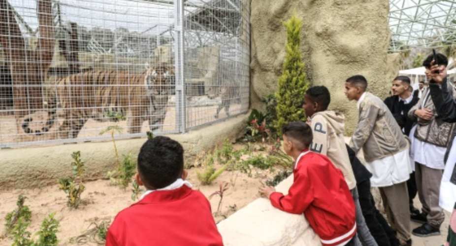 Tripolis zoo has reopened after 17 years.  By Mahmud Turkia (AFP)