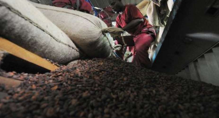 An employee of a cocoa export company empties cocoa sacks in a packaging factory in Abidjan's port, on October 4, 2012.  By Sia Kambou AFPFile