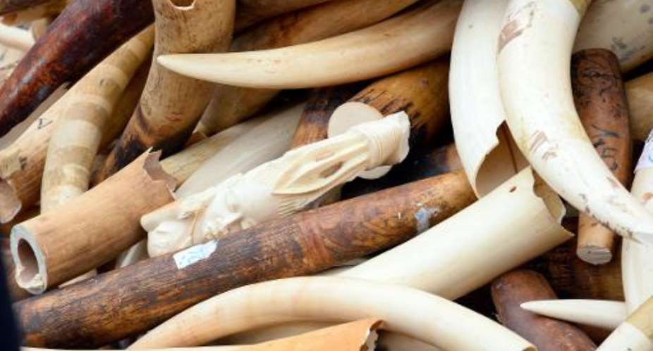 Three tonnes of illegal ivory are displayed on February 6, 2014 in front of the Eiffel tower in Paris.  By Bertrand Guay (AFP/File)