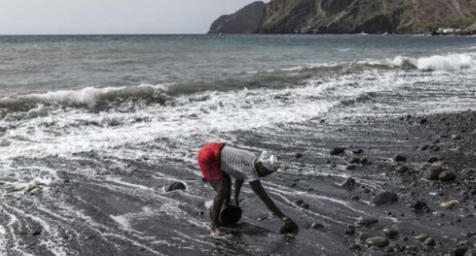 Vania Tavares collects black sand from the beach near the town of Ribeira da Barca, Cape Verde.  By PATRICK MEINHARDT (AFP)