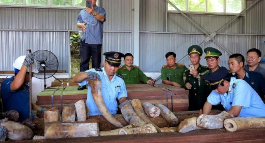 Vietnamese customs officials inspect a huge haul of suspected ivory seized from a timber shipment from the Republic of Congo.  By - Vietnam News AgencyAFP
