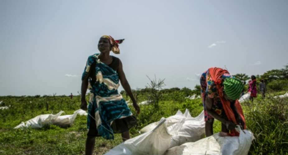 Women collecting sacks of maize and sorghum air-dropped from a World Food Programme (WFP) plane in a village in South Sudan in July 2018.  By PATRICK MEINHARDT (AFP)