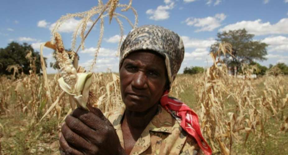 Zimbabwe has blamed low farm yields on erratic rains due to climate change, as well as crippling Western sanctions.  By Alexander Joe (AFP)