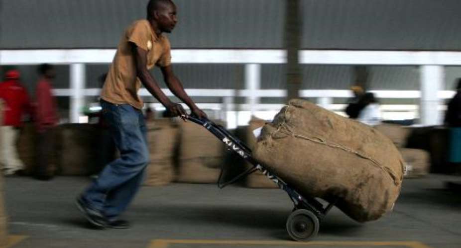 A worker receives and loads bales of tobacco on the opening day of the selling season in Harare, on February 13, 2013.  By Jekesai Njikizana AFPFile