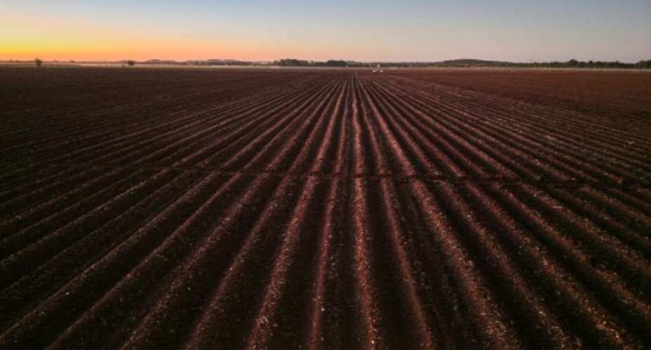 Zimbabwe launched land reforms in 2000, seizing land from white commercial farmers.  By Zinyange Auntony (AFP/File)