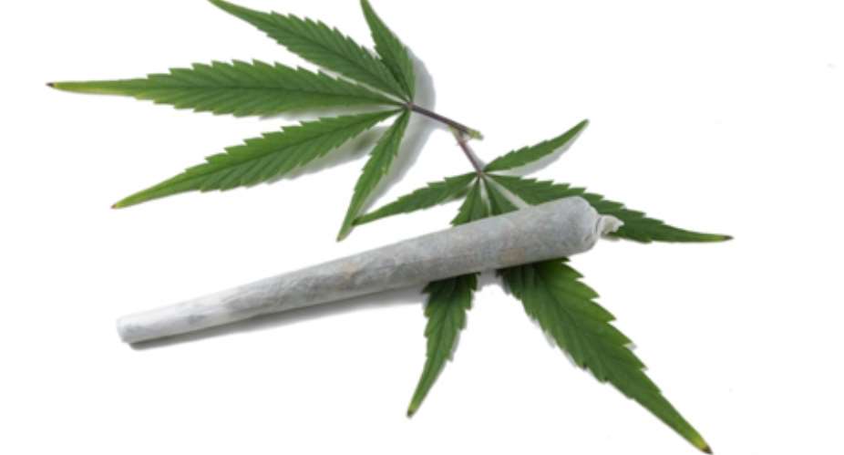 Study: Regular cannabis 'harms intelligence'