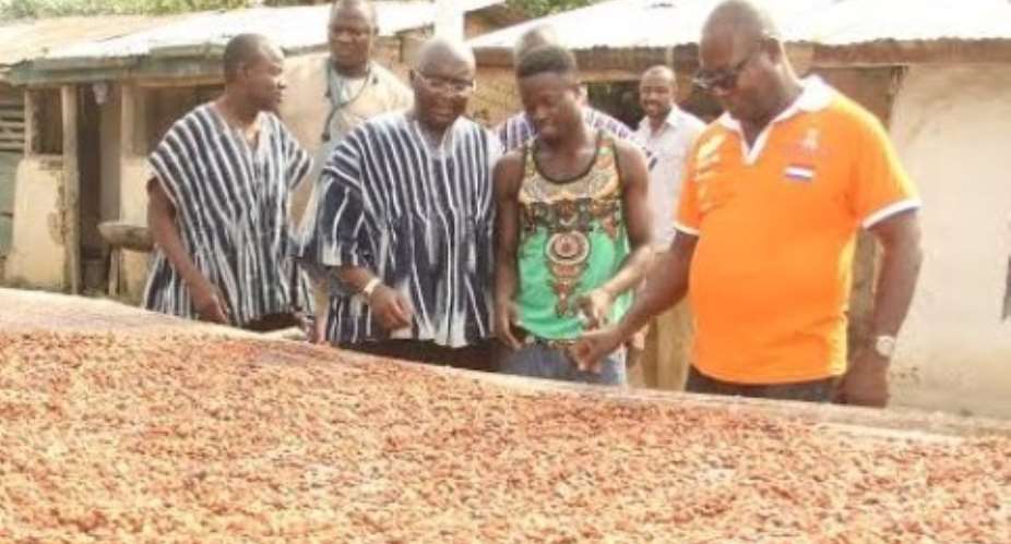 Cocoa Sector Not Collpasing; Bawumia Is Ignorant – Govt