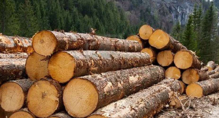 Cameroon Timber Trade - High Risk, Low Reward