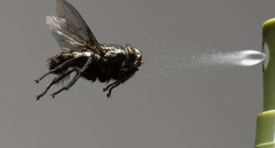 10 Insect Repelling Alternatives To Bug Spray