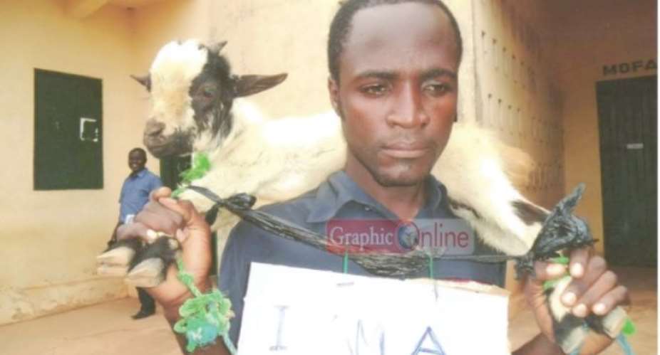 Lawyers, Human Right activist condemn sentencing of goat thief