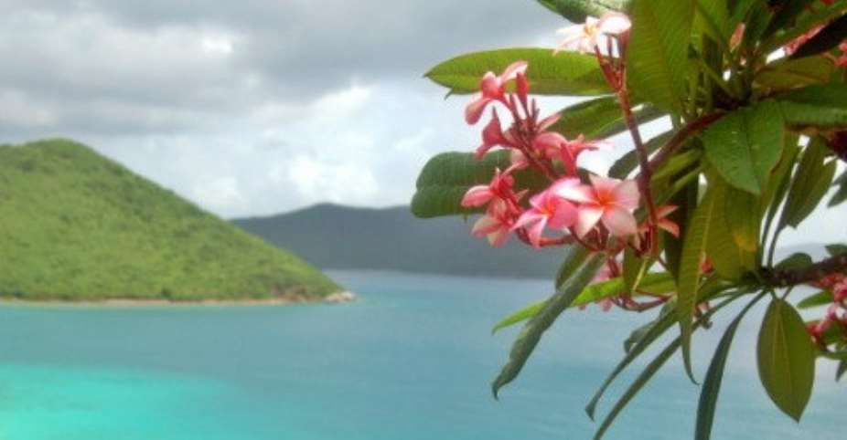 Paradise in the Virgin Islands