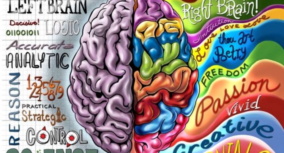 Fascinating Facts About Our Brain
