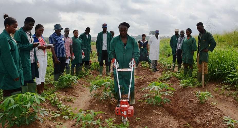 Cassava Weed Management Project Records Progress And Makes Stakeholders Proud