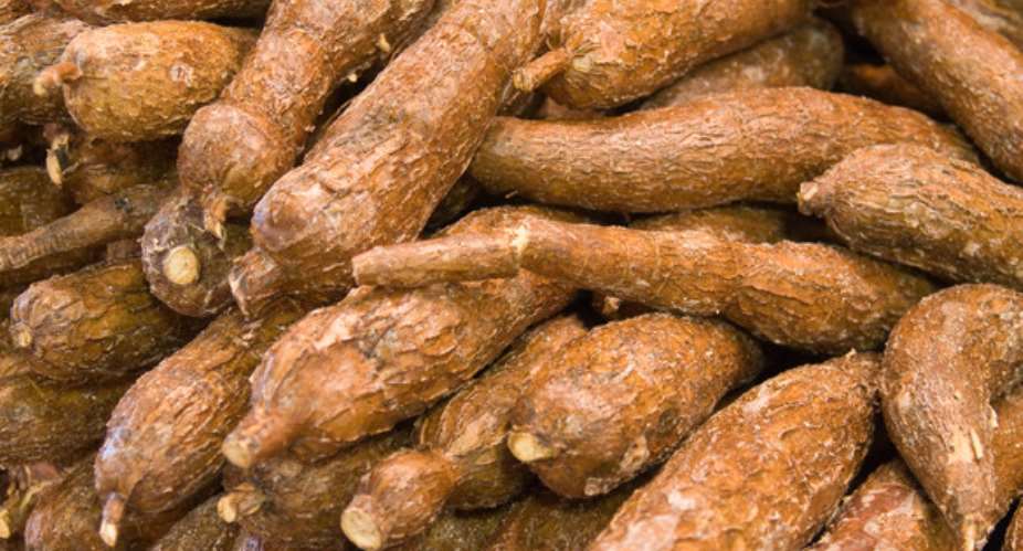 Cassava packed for market