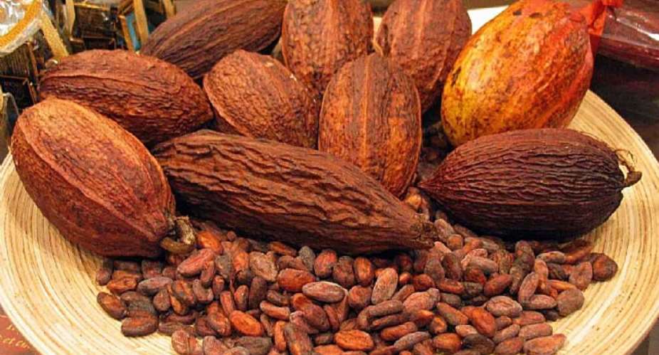 Government maintains cocoa producer price at GHC3,392