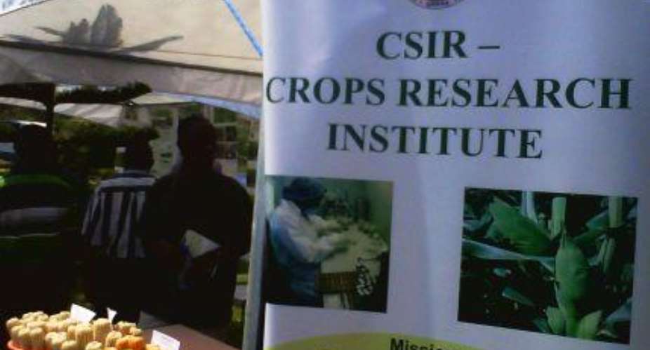 CSIR-CRI to run post-graduate programmes in science education