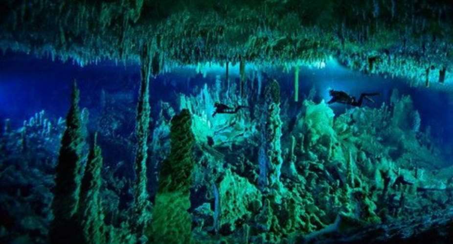Blue holes of the Bahamas