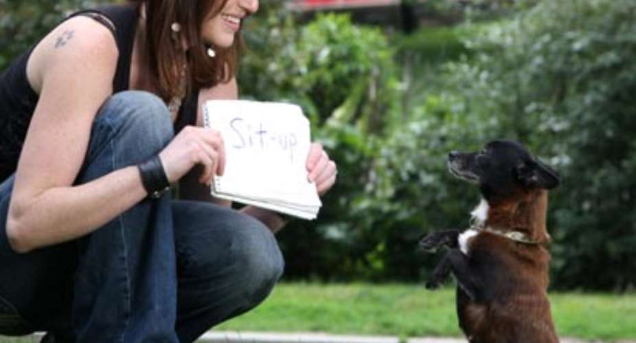 Woman teaches dog to read