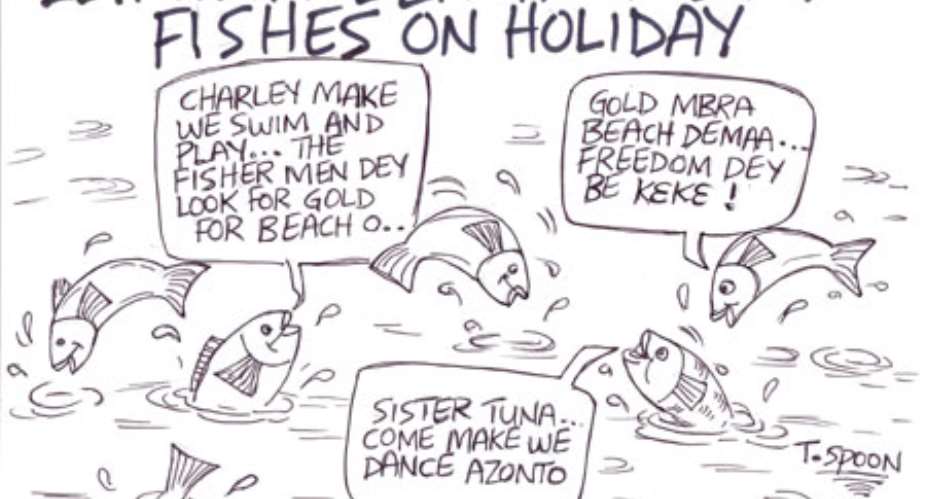 ELIMINA-BEACH-GOLDFISHES ON HOLIDAY