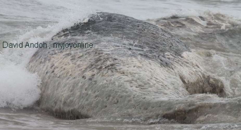 A whale washes ashore Kokrobite beach in Accra, Monday.