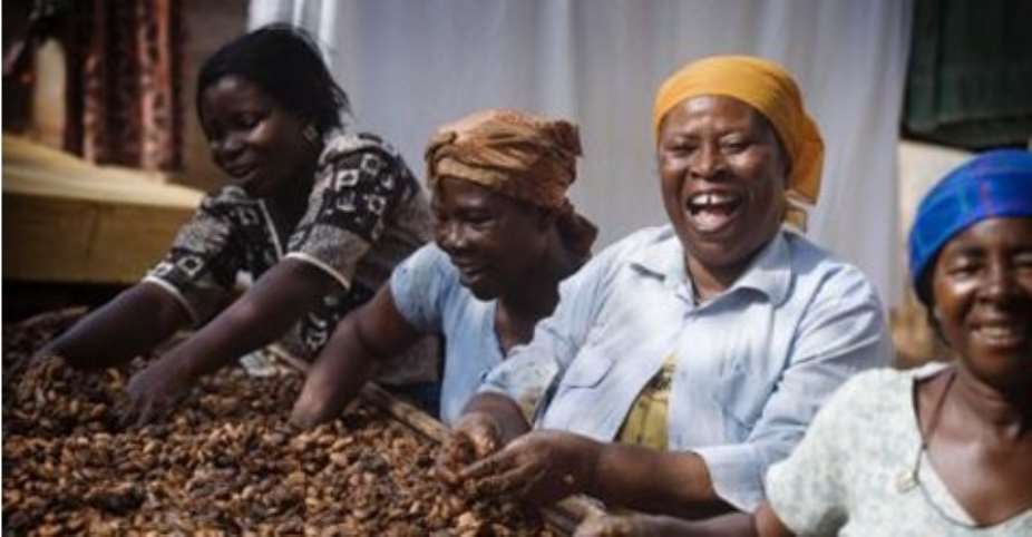 Cocoa Farmers fight COCOBOD over fertilizer